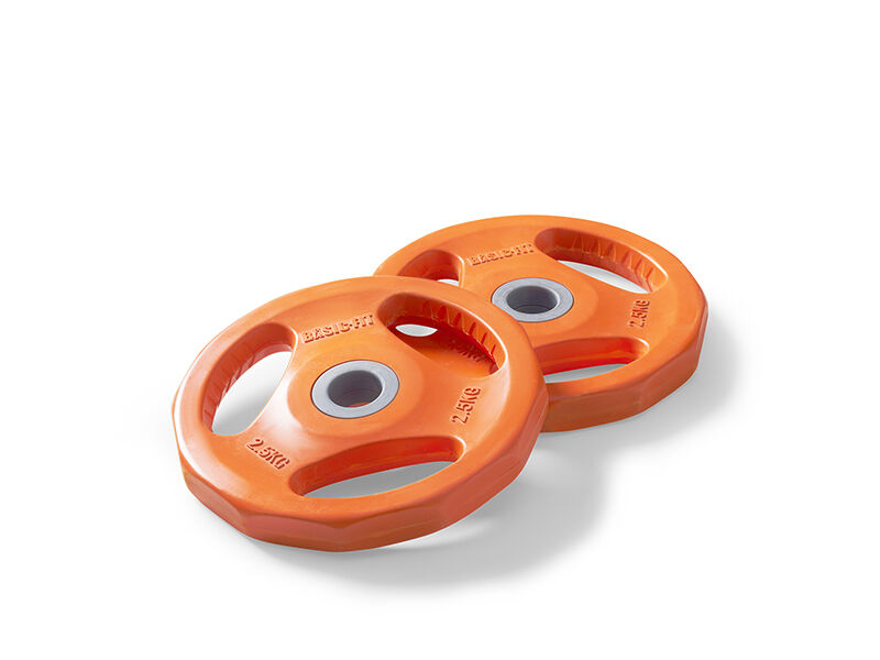 Weight Plates - 2 x 2,5 kg